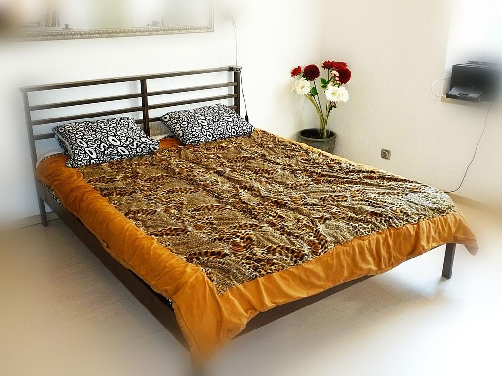 Ditton Apartment City Center Daugavpils Phòng bức ảnh